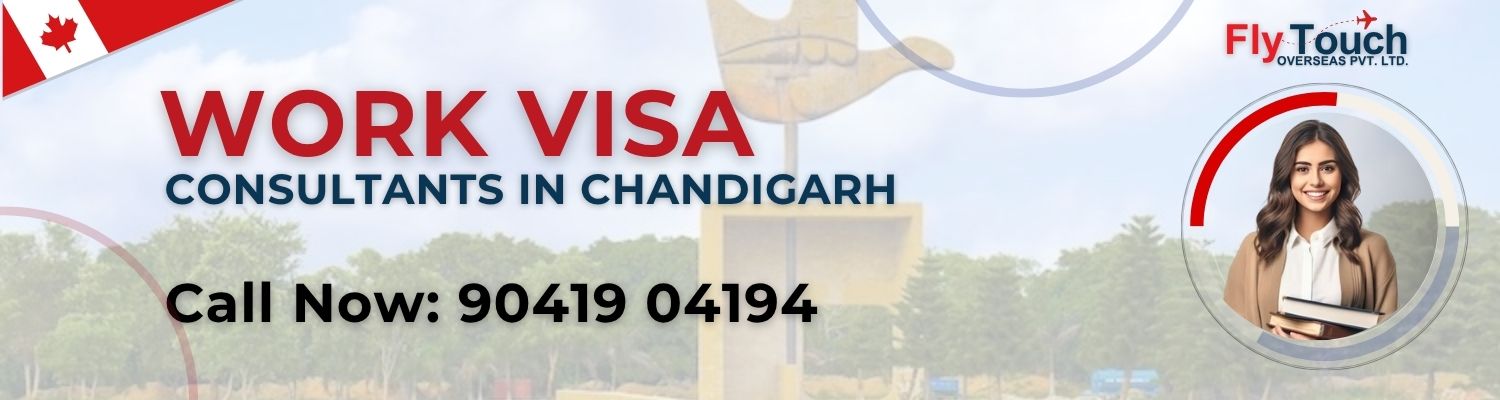Work Visa Consultants In Chandigarh
