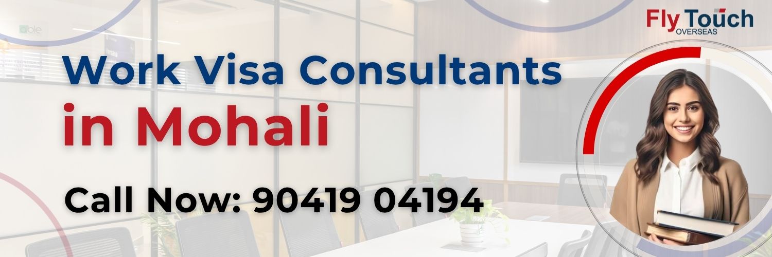 Work Visa Consultants In Mohali