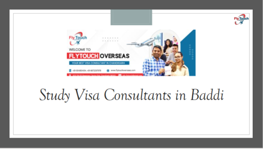 Study Visa Consultants in Baddi